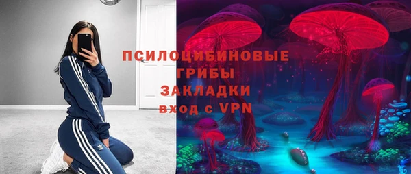 гидропоника Карталы