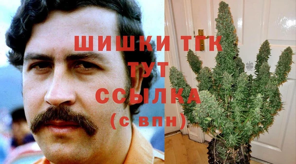 jwh Каменногорск