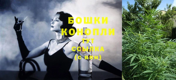 PSILOCYBIN Каменка