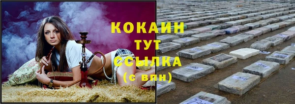 гидропоника Карталы