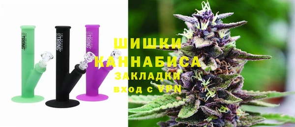 PSILOCYBIN Каменка