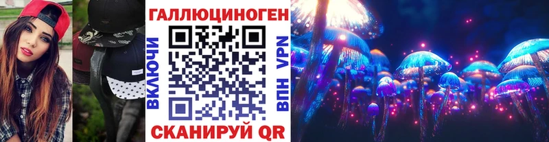 Купить где  Оса  Псилоцибиновые грибы Cubensis 